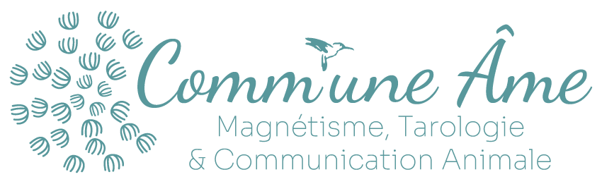 Comm'Une Âme